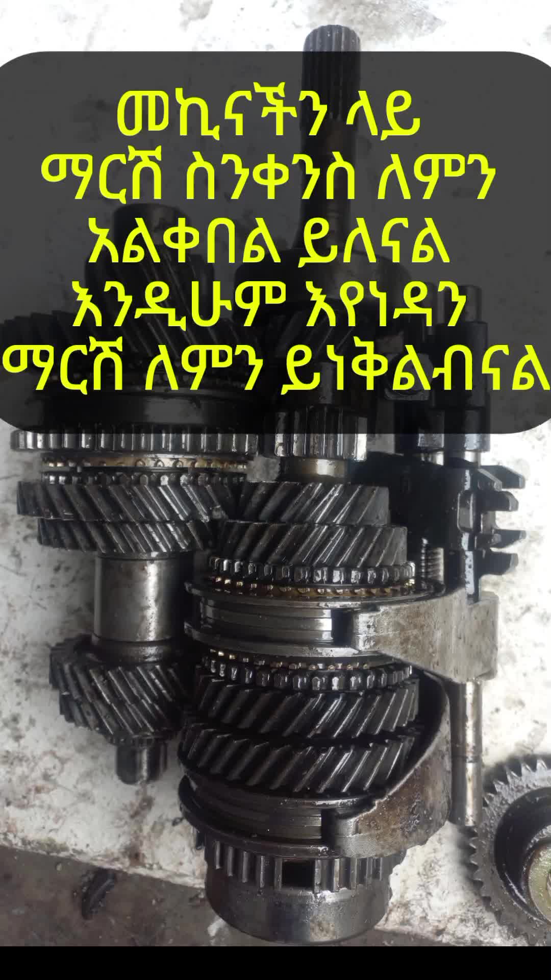 @ምንቴ Automotive Engineer