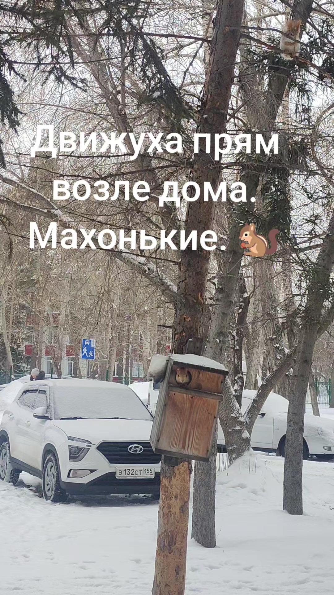 @Ахиллес-55.
