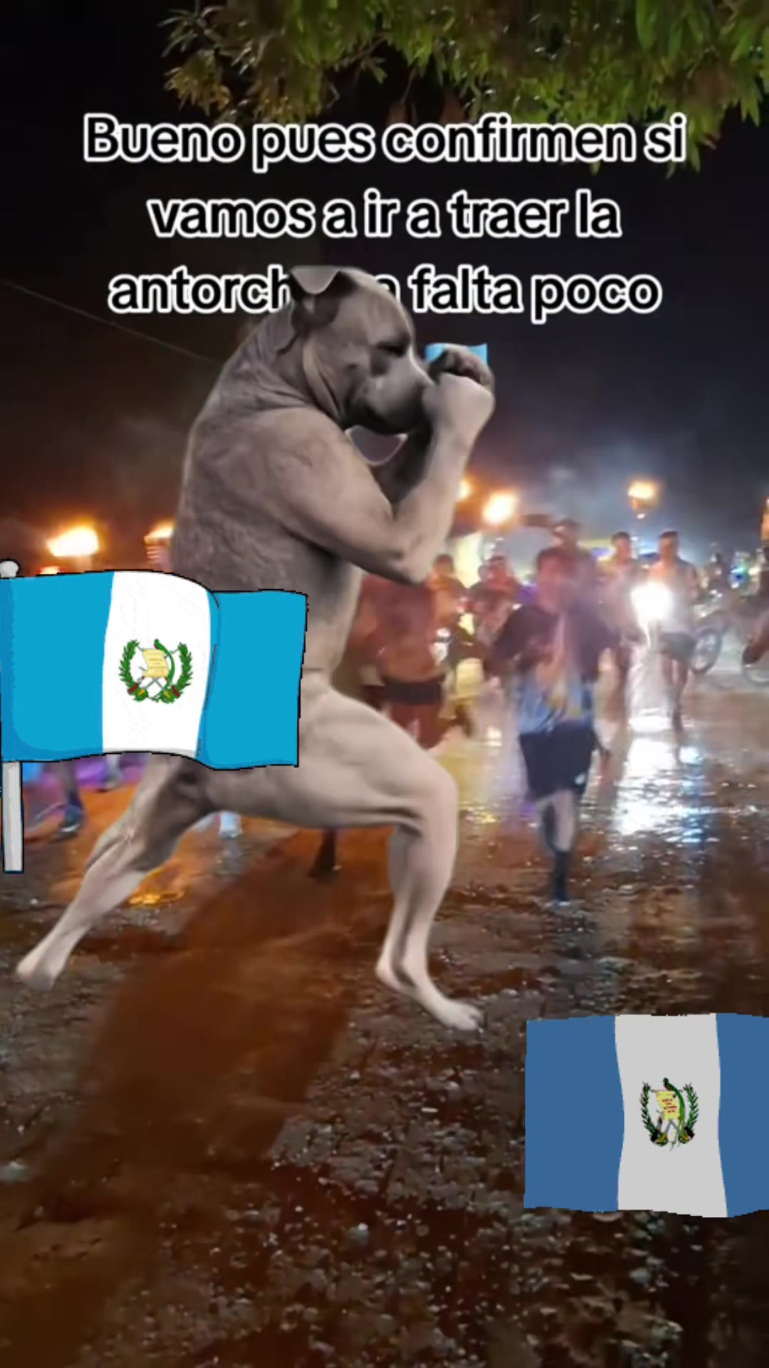@El flakhitho+502