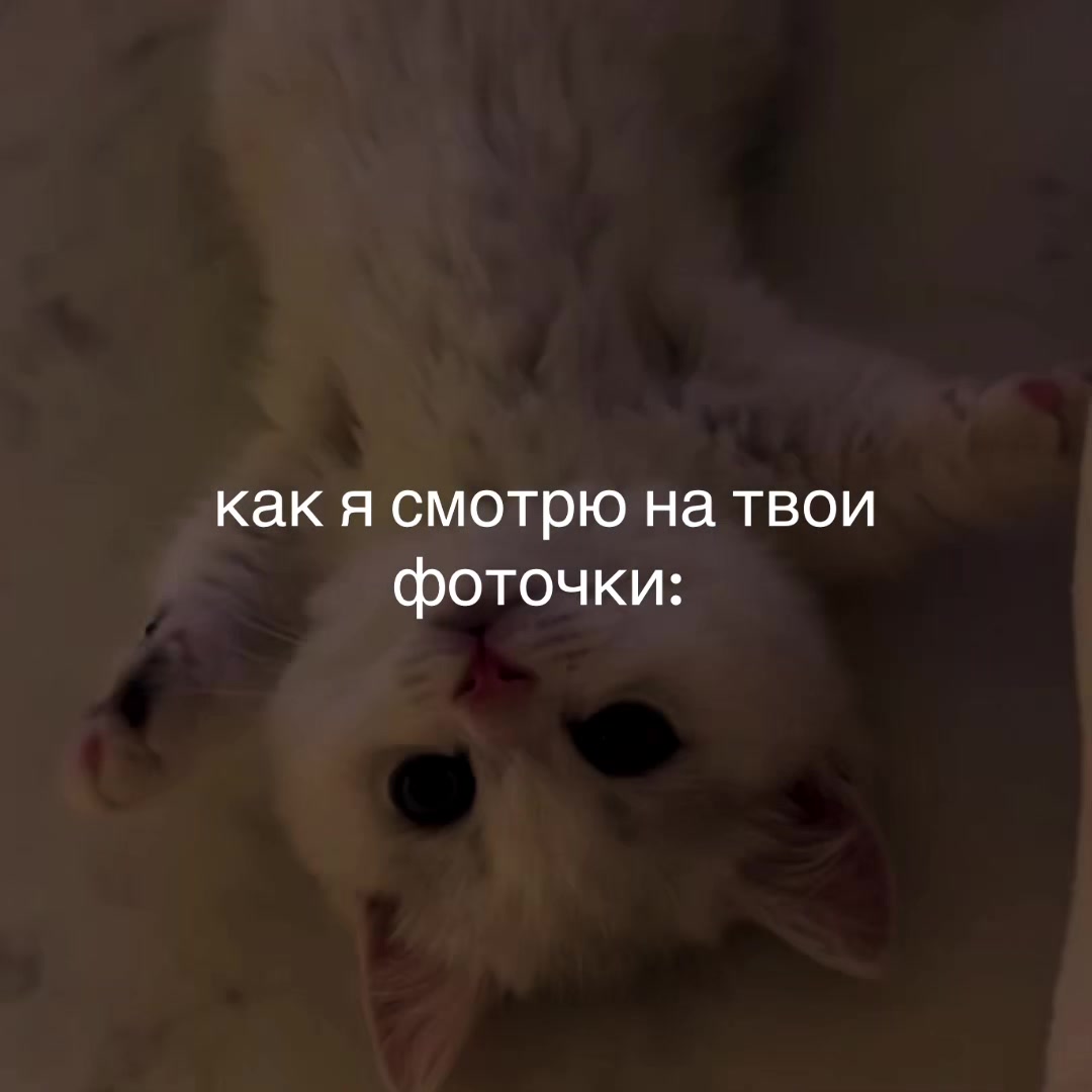 @♡‧₊˚softtiquiet˚₊‧♡