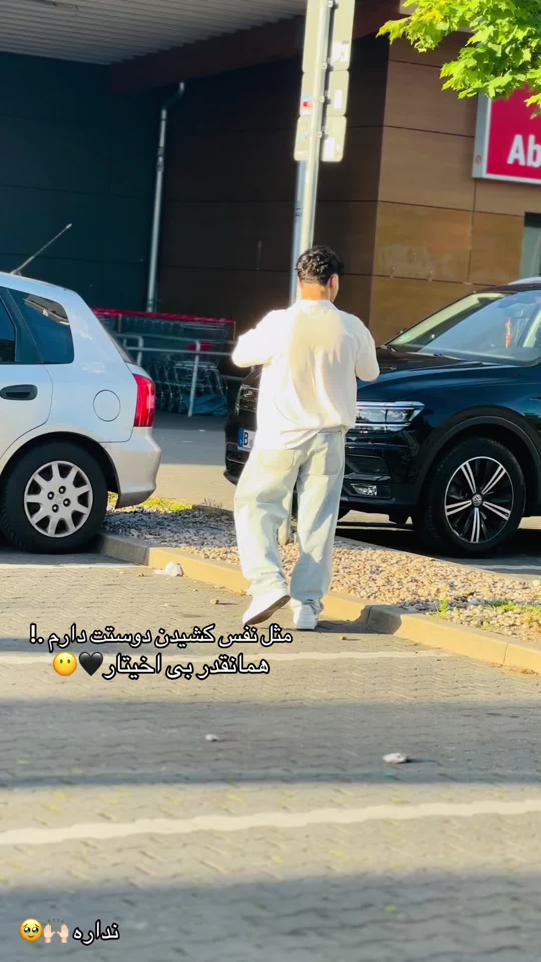 @🐅پلنگ🐅