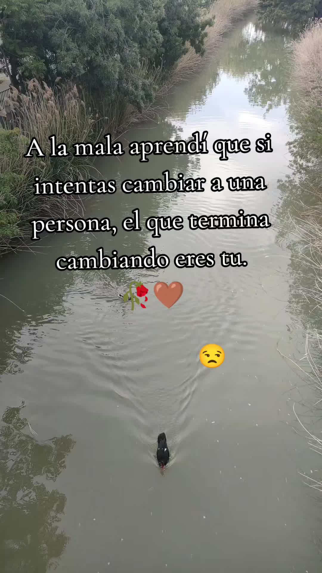 @angui1🇪🇨❤__🇪🇸