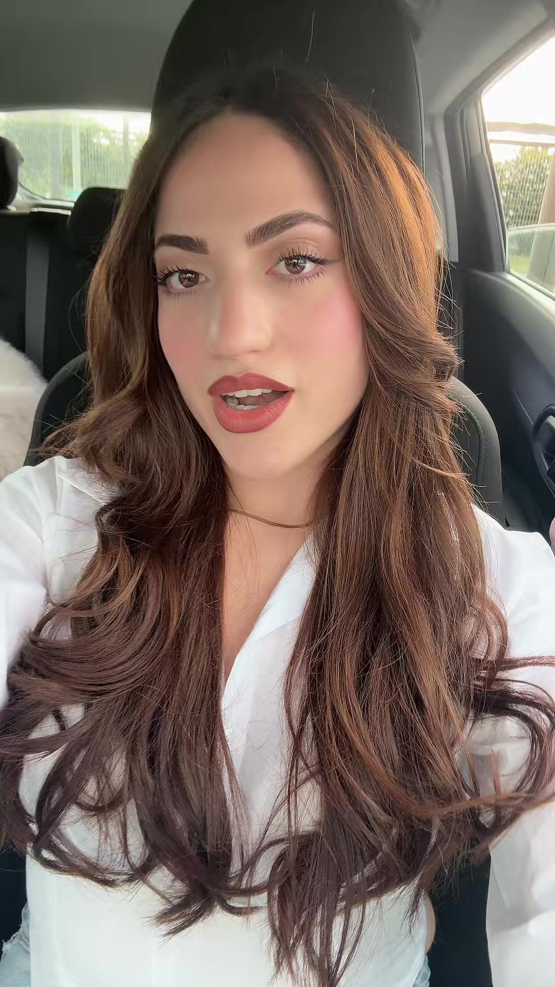 @Tergita 🦋