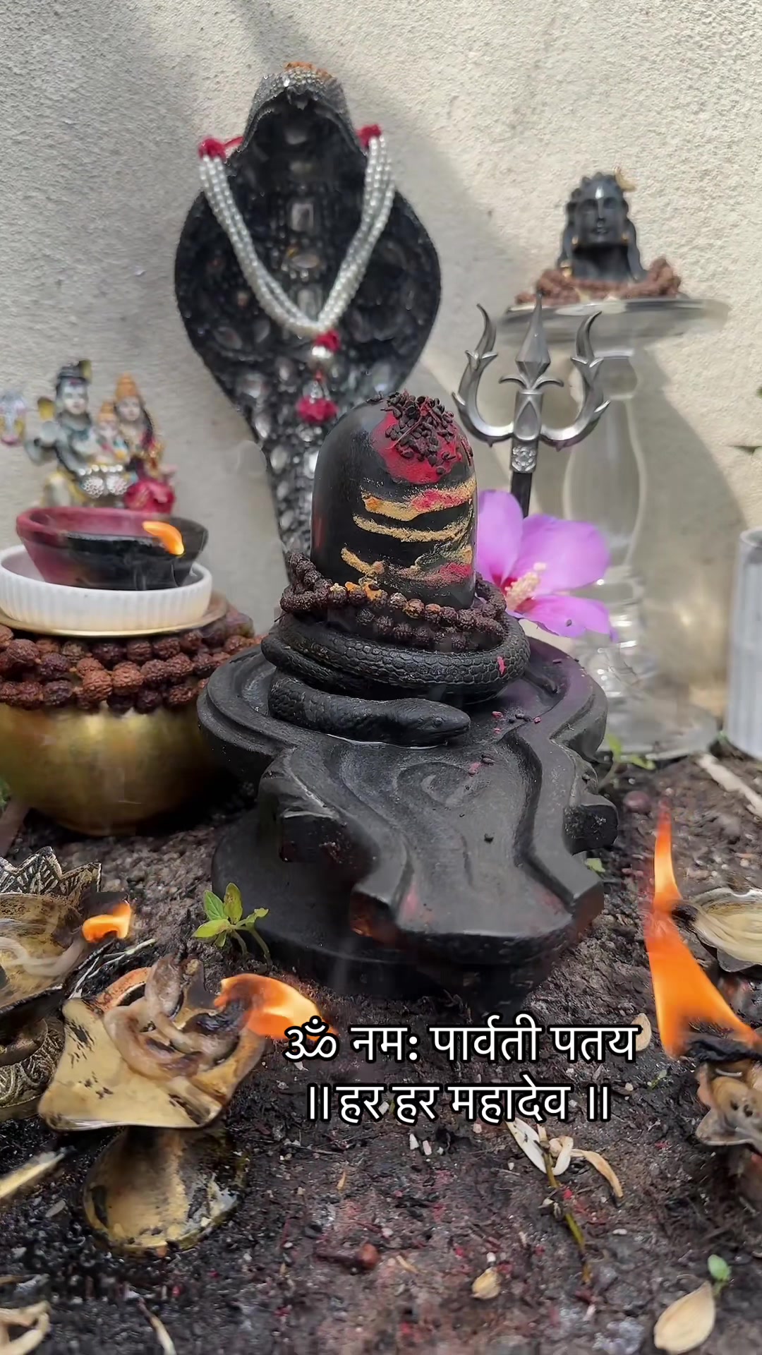 @ਵਲੈਤੀ ਪੰਜਾਬਣ sukh/ਸੁਖ