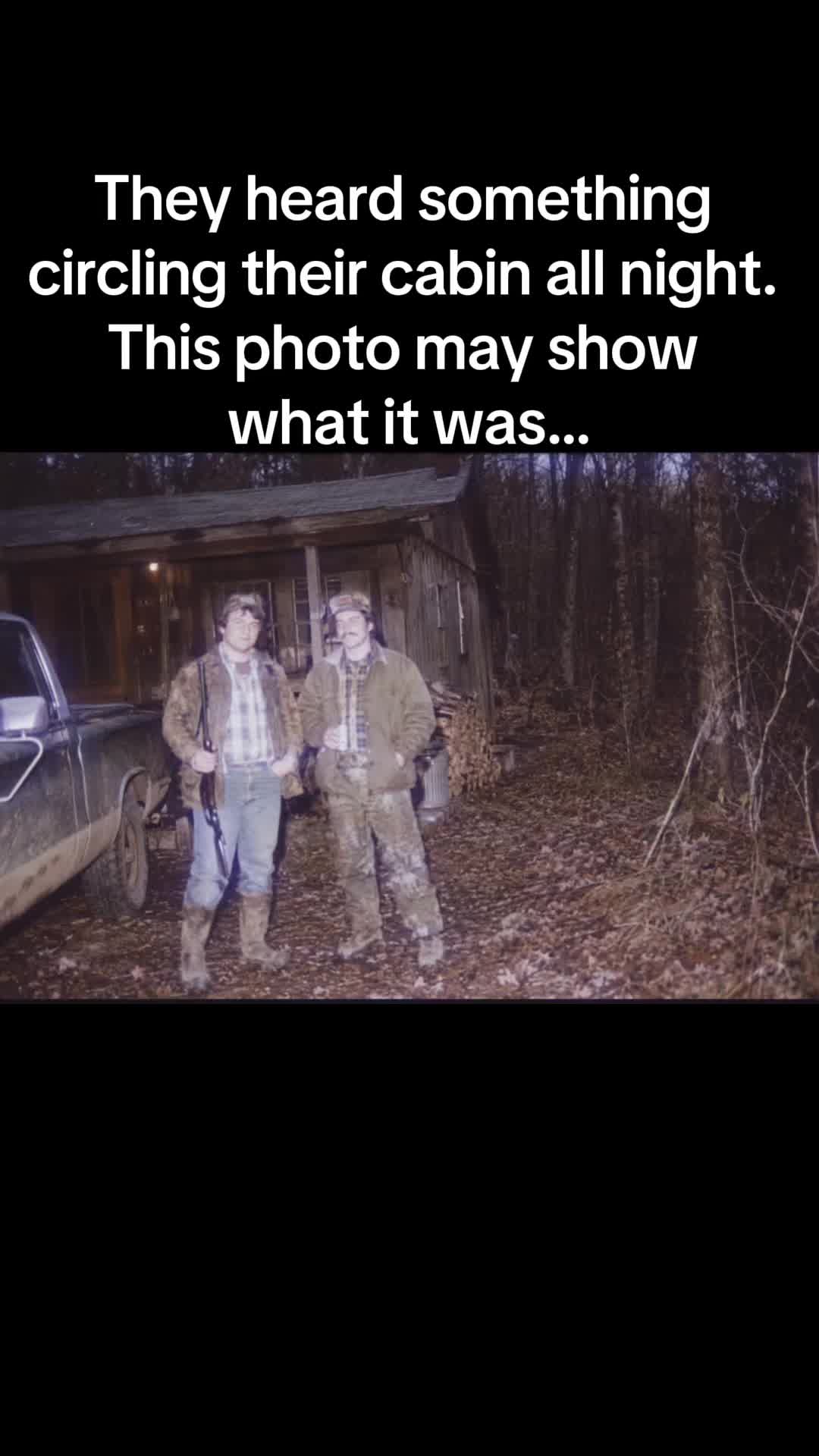 @projectnonhuman