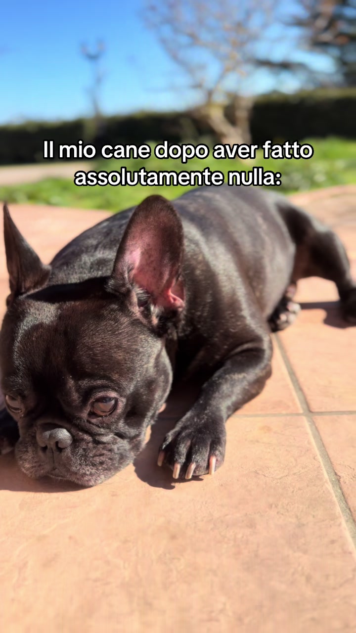@francescabalzi_