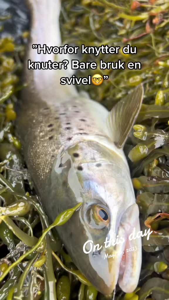 @Sørfiske
