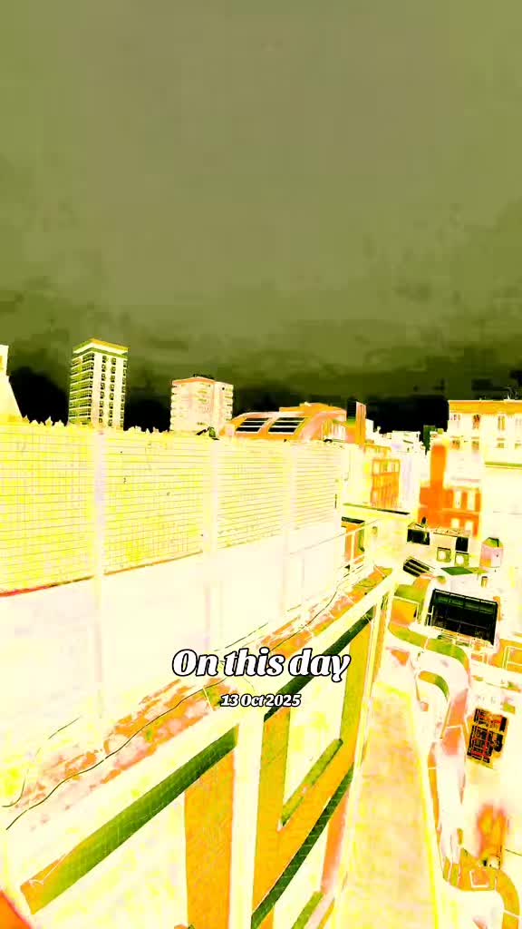 @ボロウスキー クモ