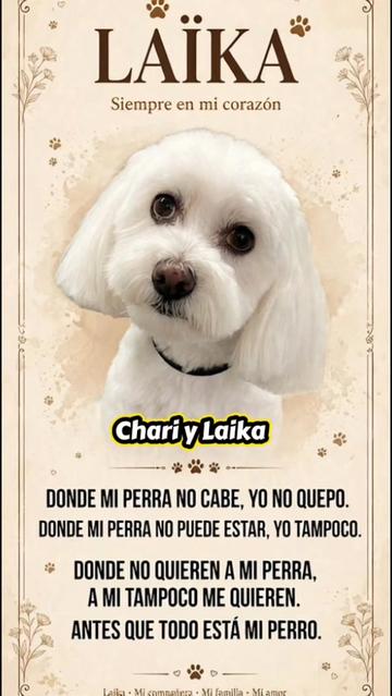 @Chari y Laika