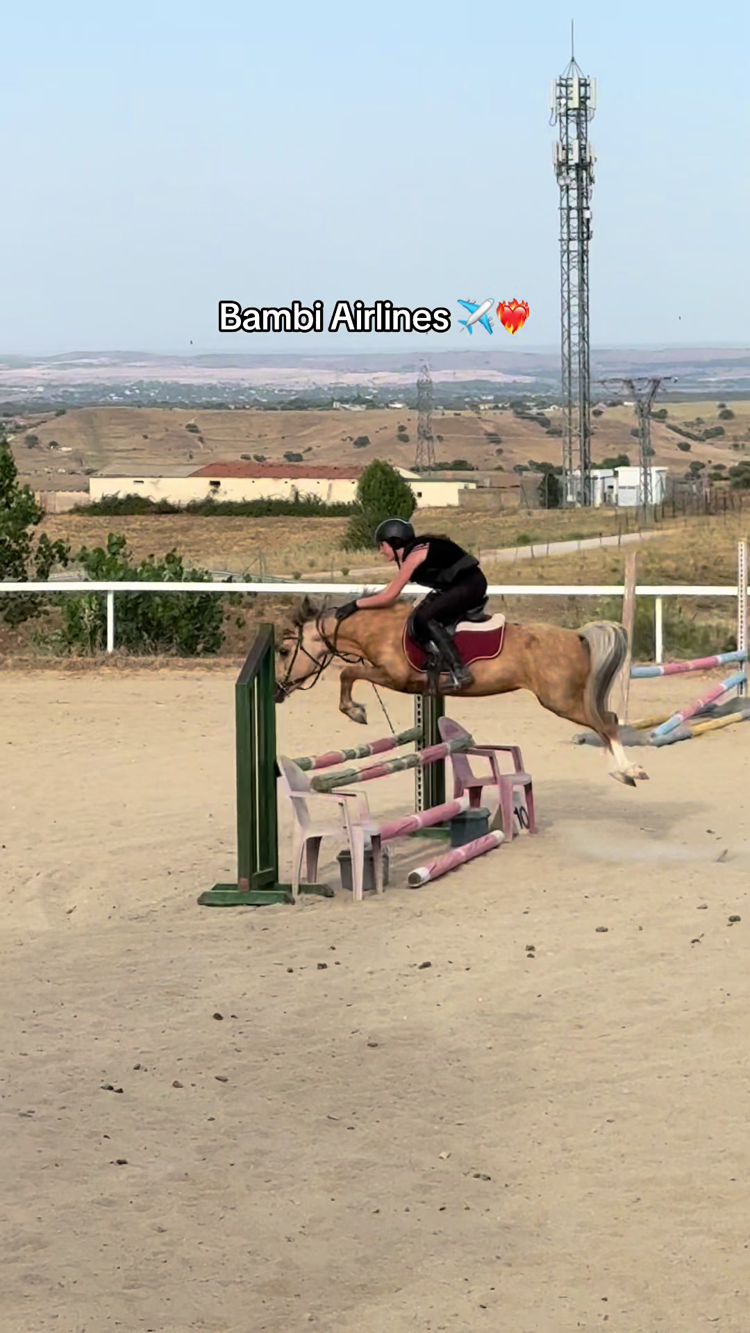 @DiarioOcultoLasPalomas✨