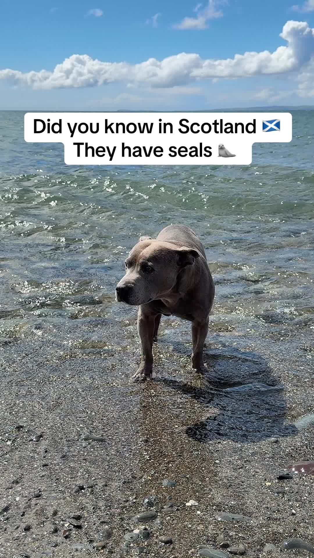 @Slimwadie