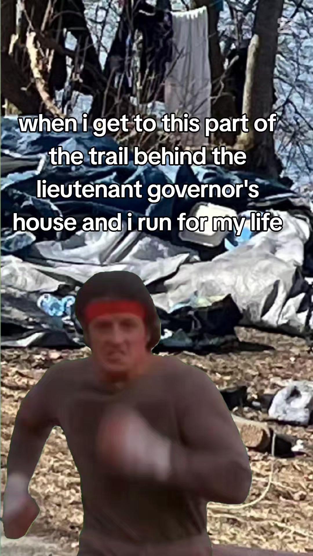@freddy beach memes