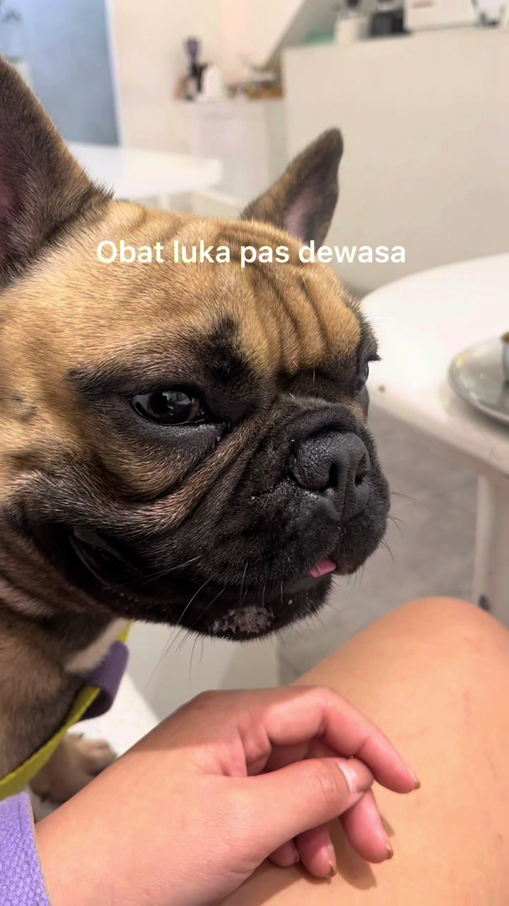 @PINAT SANJI
