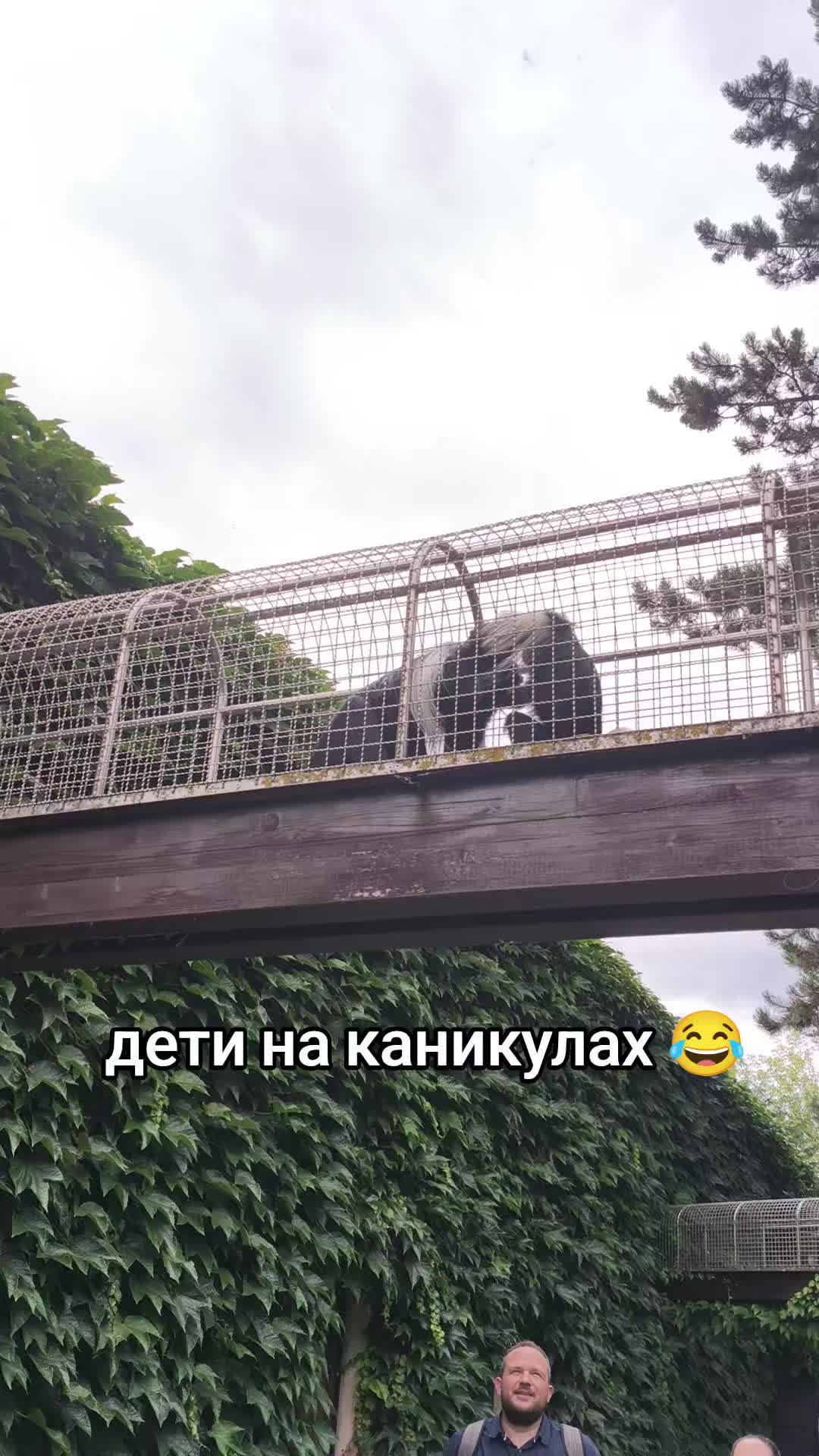 @Jsem v Česku🇨🇿