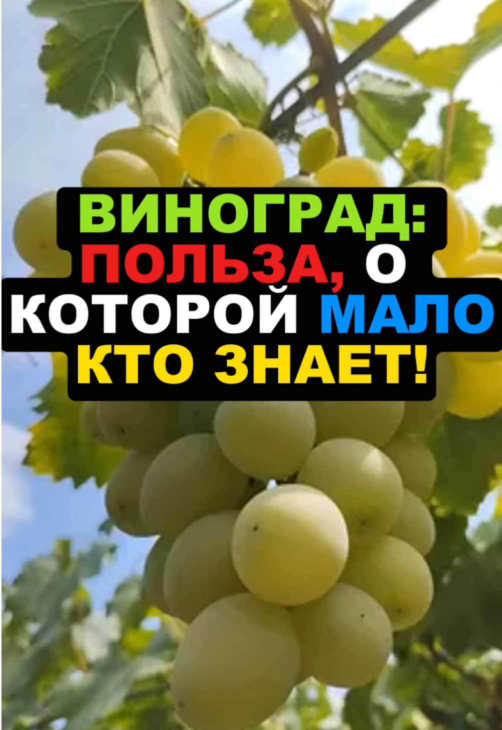 @FoodFackt