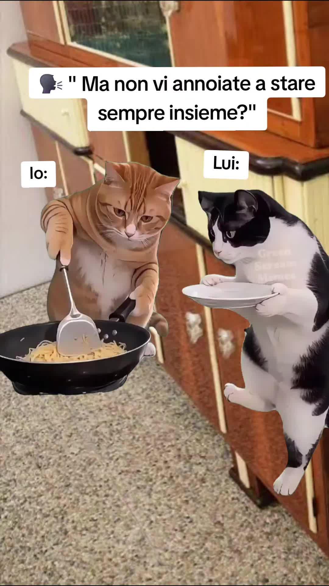 @Catzatte