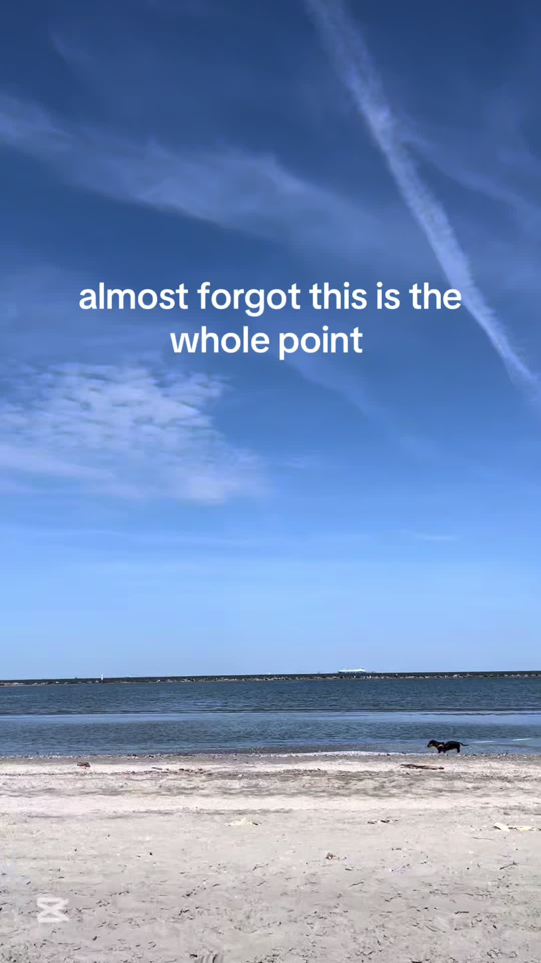 @Anya