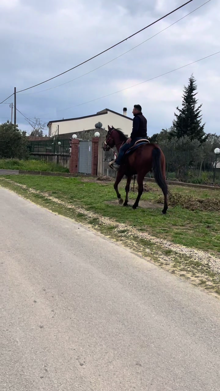 @Elisa Pilotta