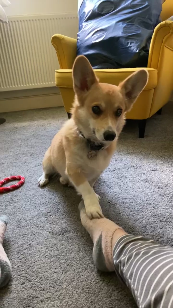 @Ally