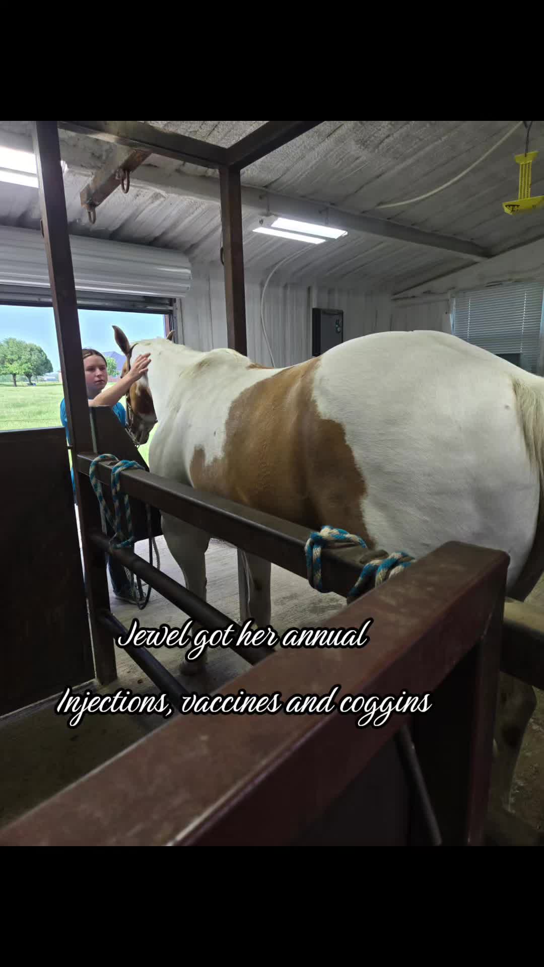 @Fonzy's Farm Rehab & Sanctuary