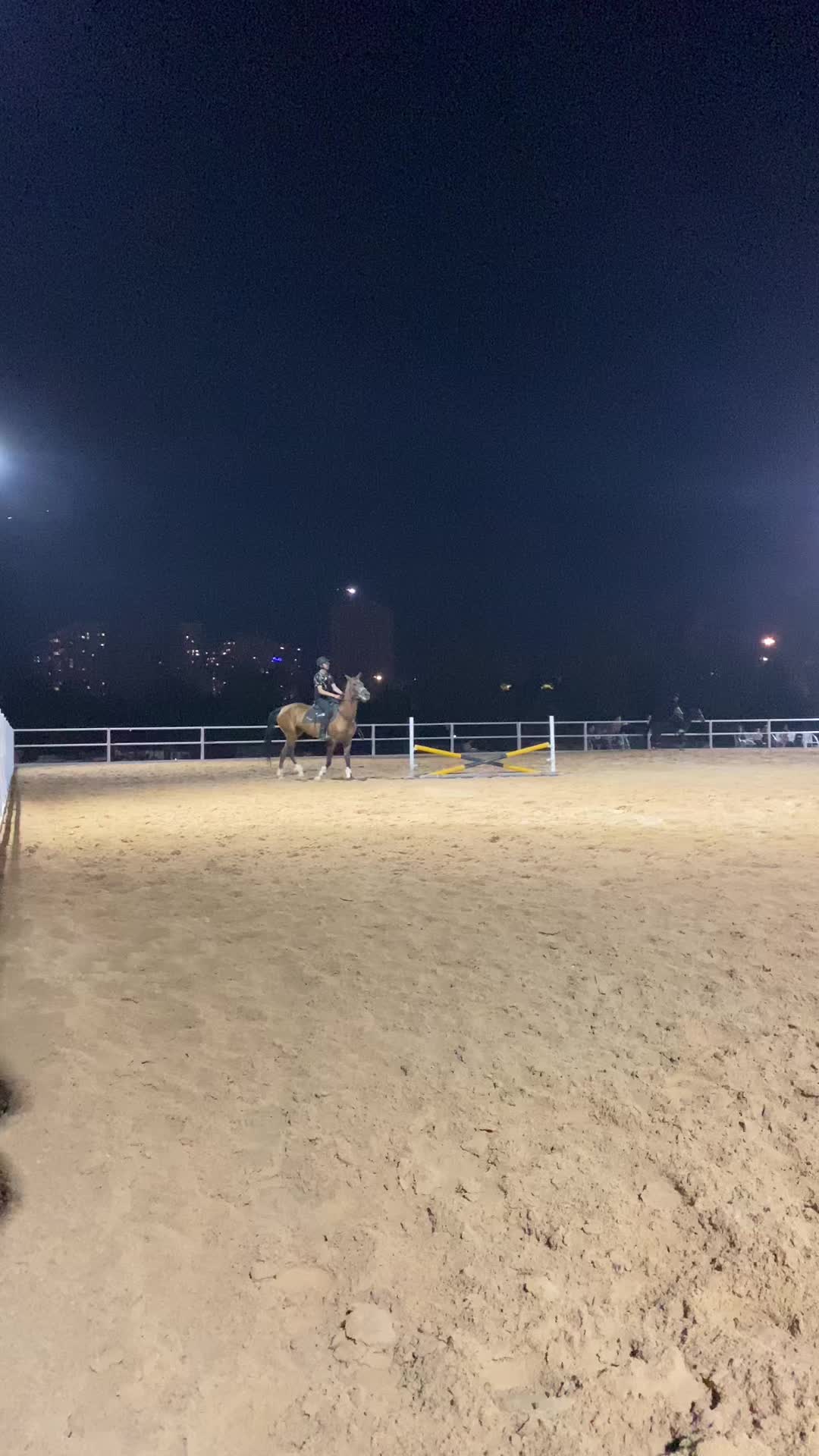 @حە مە🐎🫀