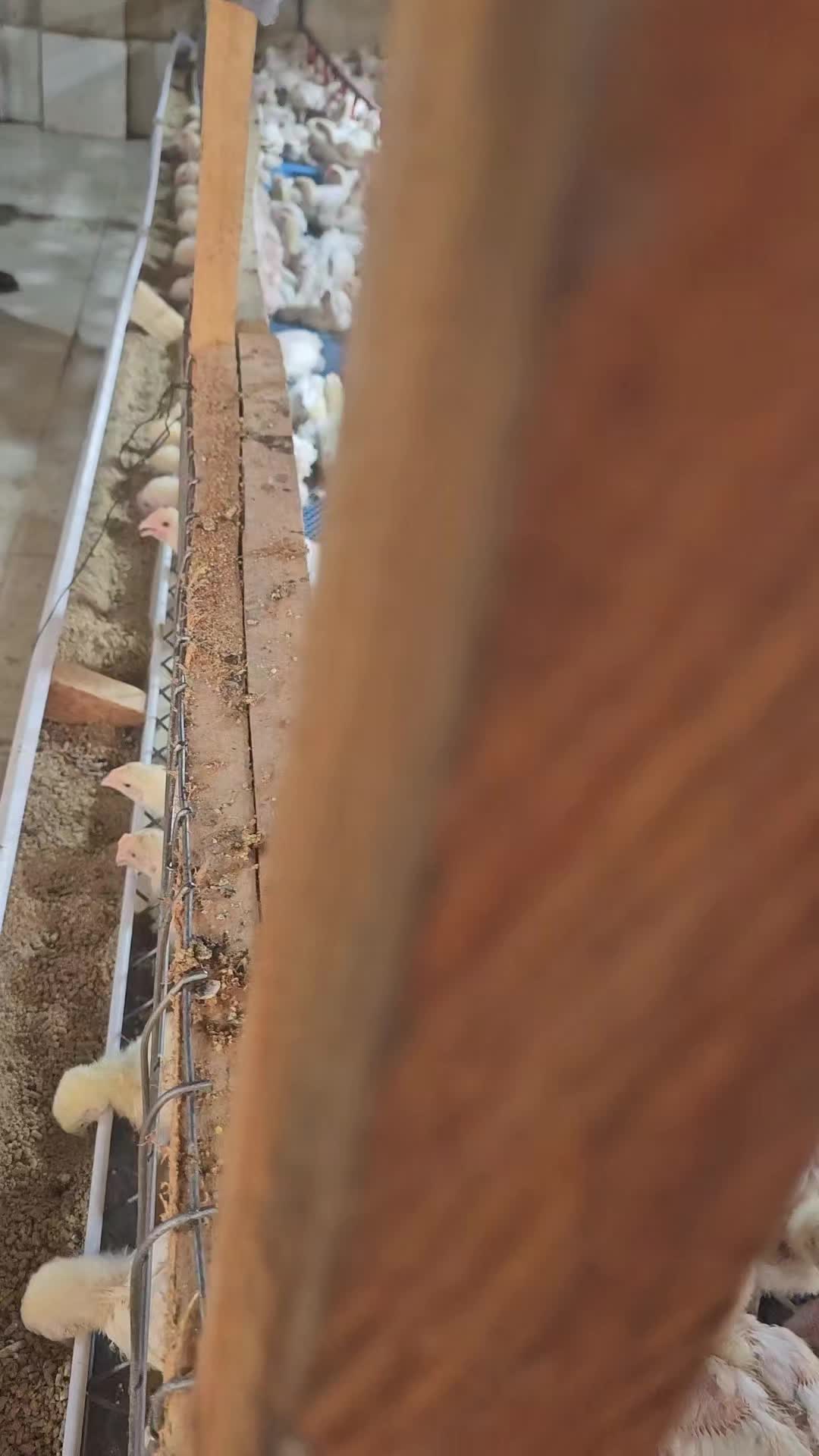 @thetri farms