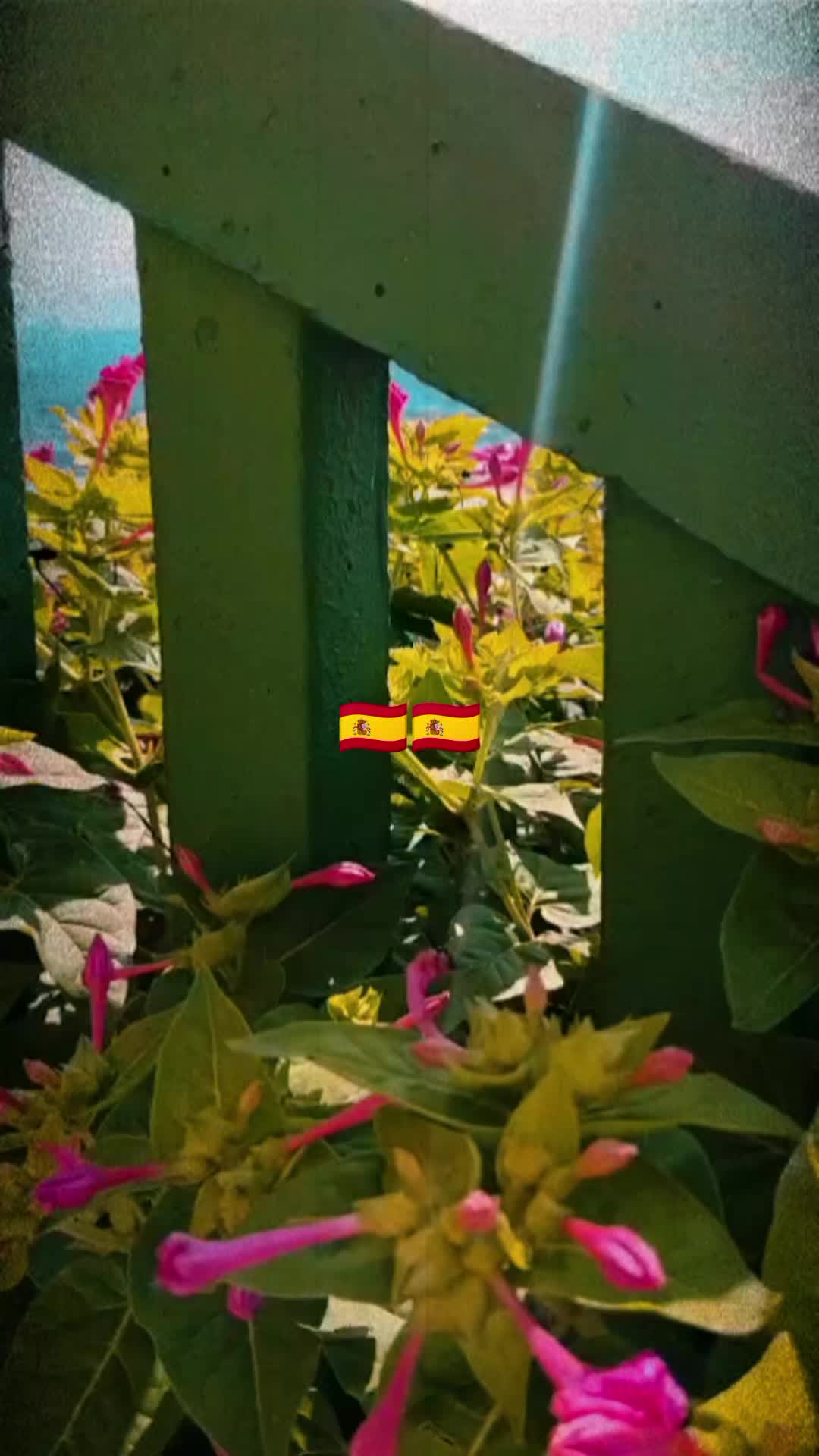 @Sofía🧸z,s,I