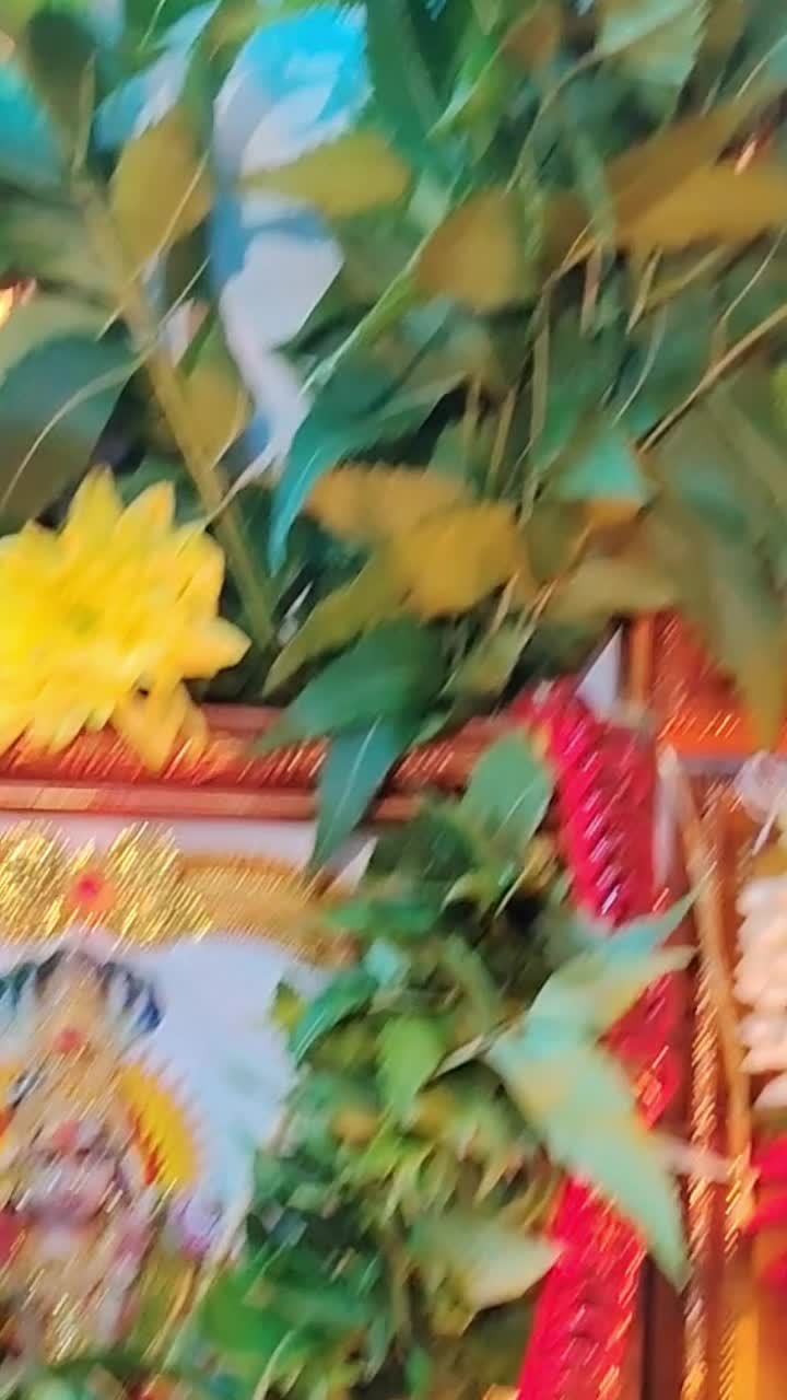 @โผโโฆ๐ฉ๐ค๐ถ๐ช ๐ญ๐ฎ๐ฟ๐ฒ๐ชโฅโเฟ
