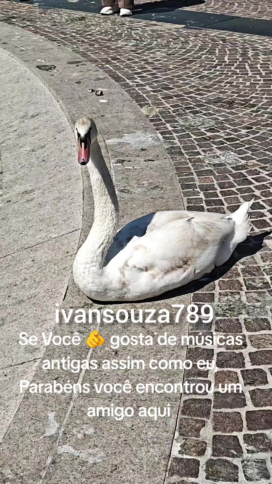 @me siga, que eu te sigo 👍♥️👀