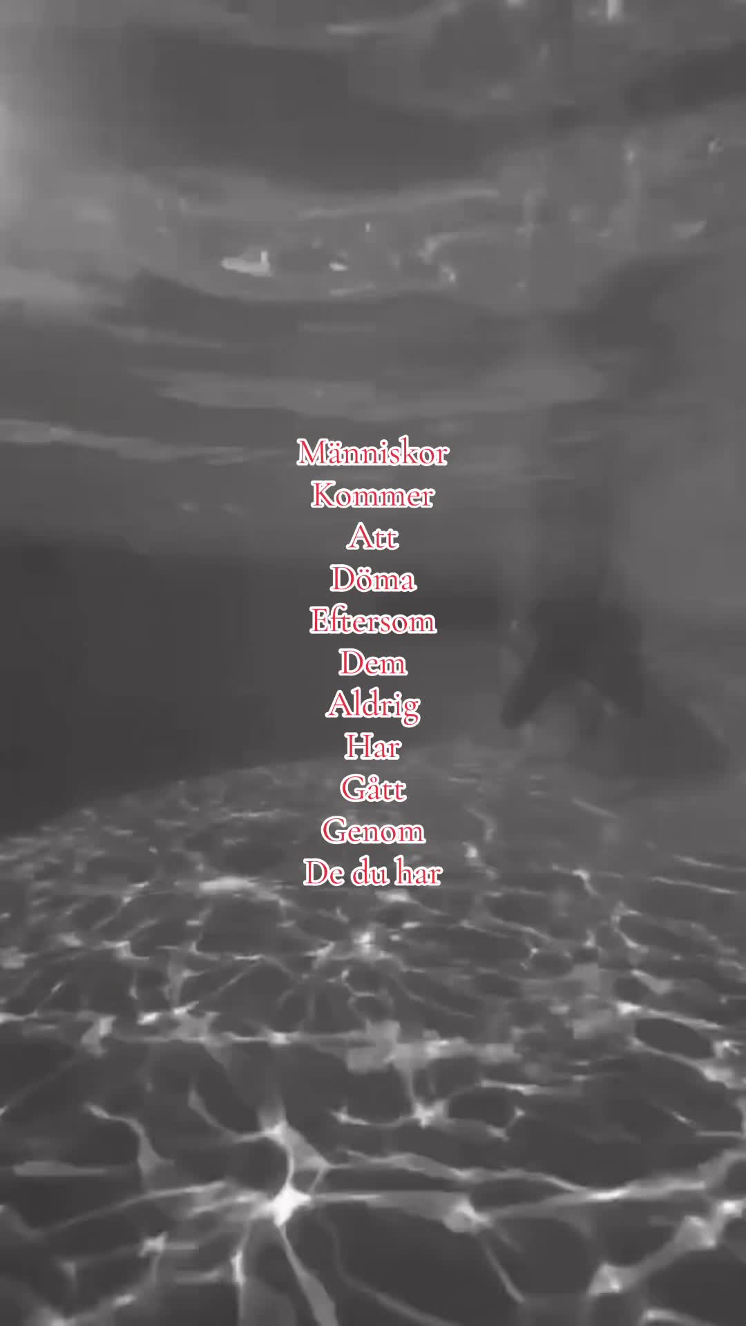 @Evelinaaa🎀