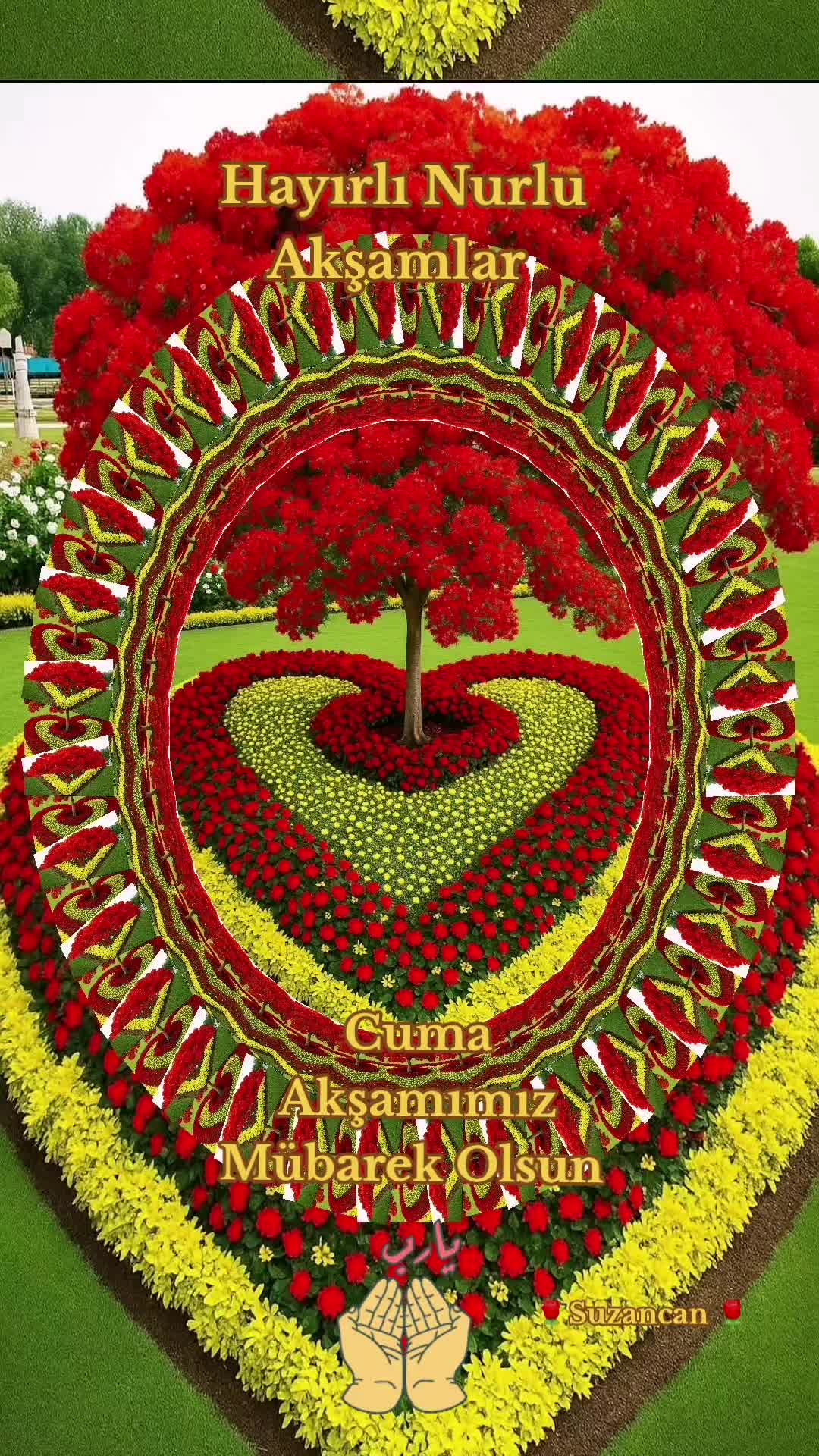 @🌹Suzancan🌹