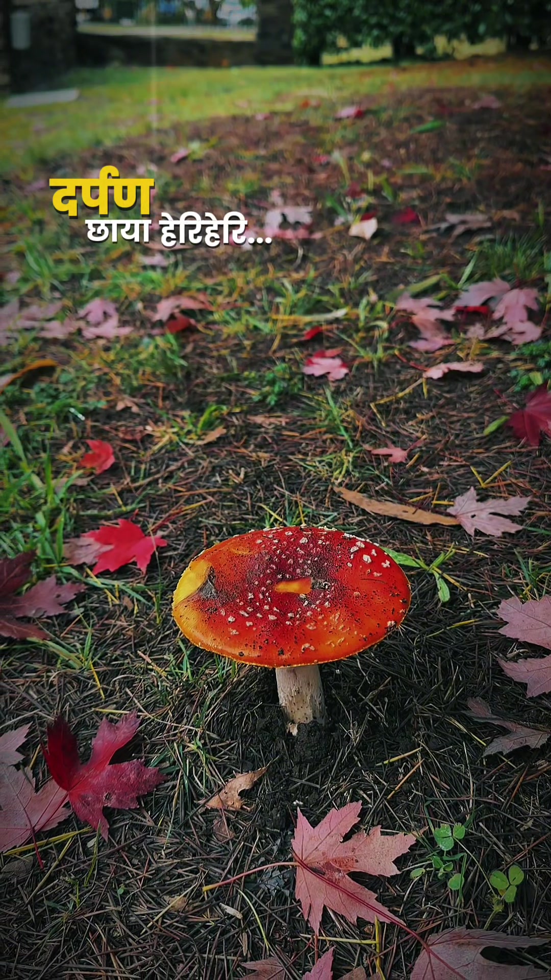 @@deepsika 🕉