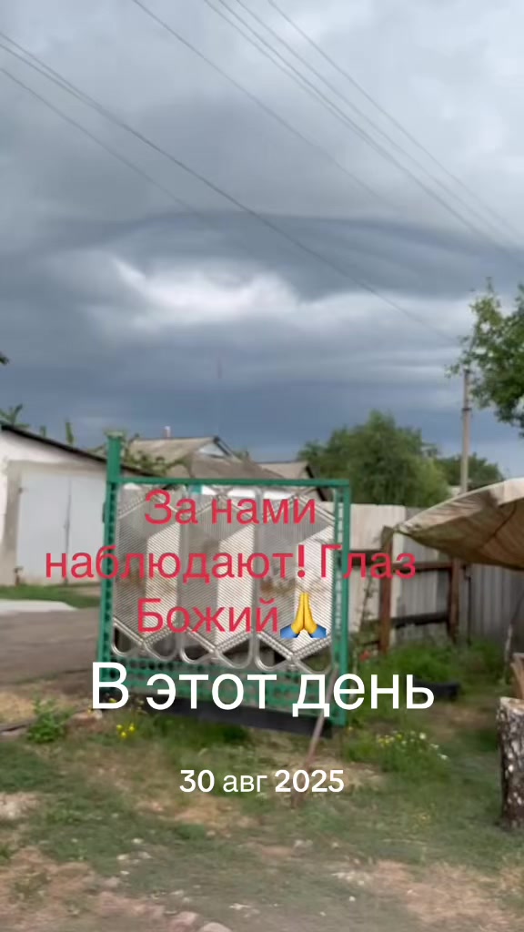 @Жанна Новак