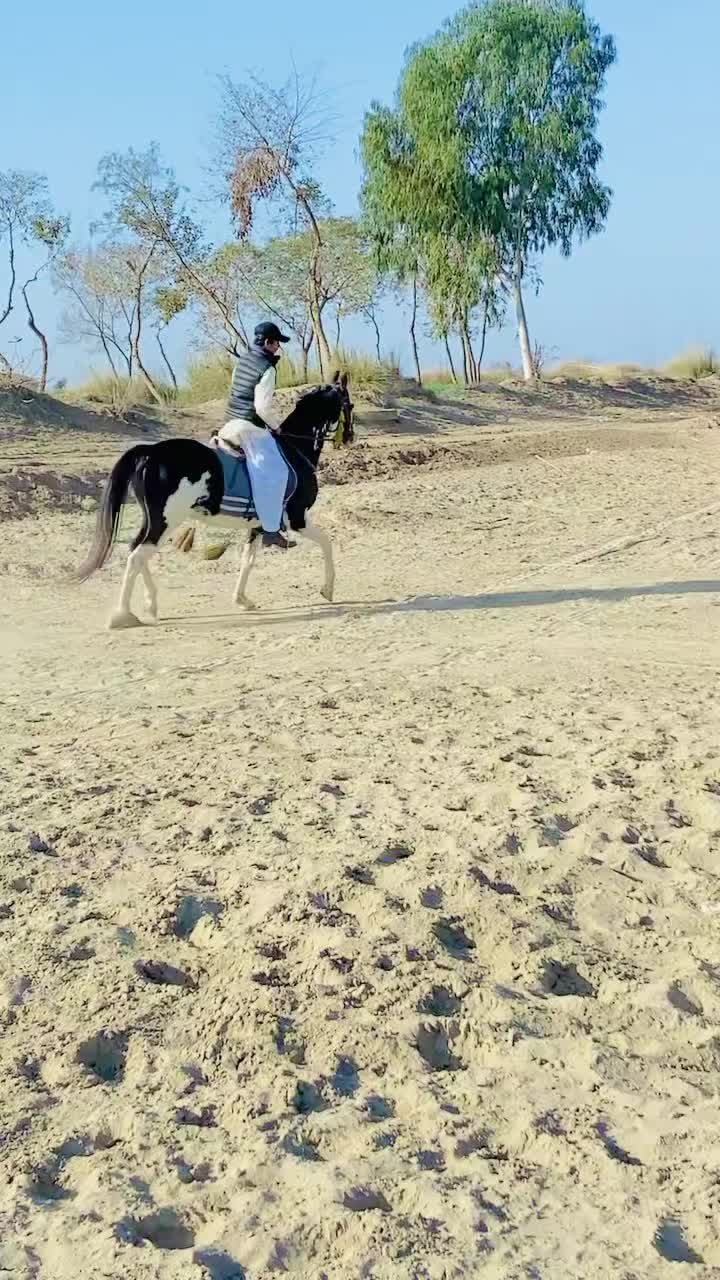 @Malik Ali Abbas Saggu🔥