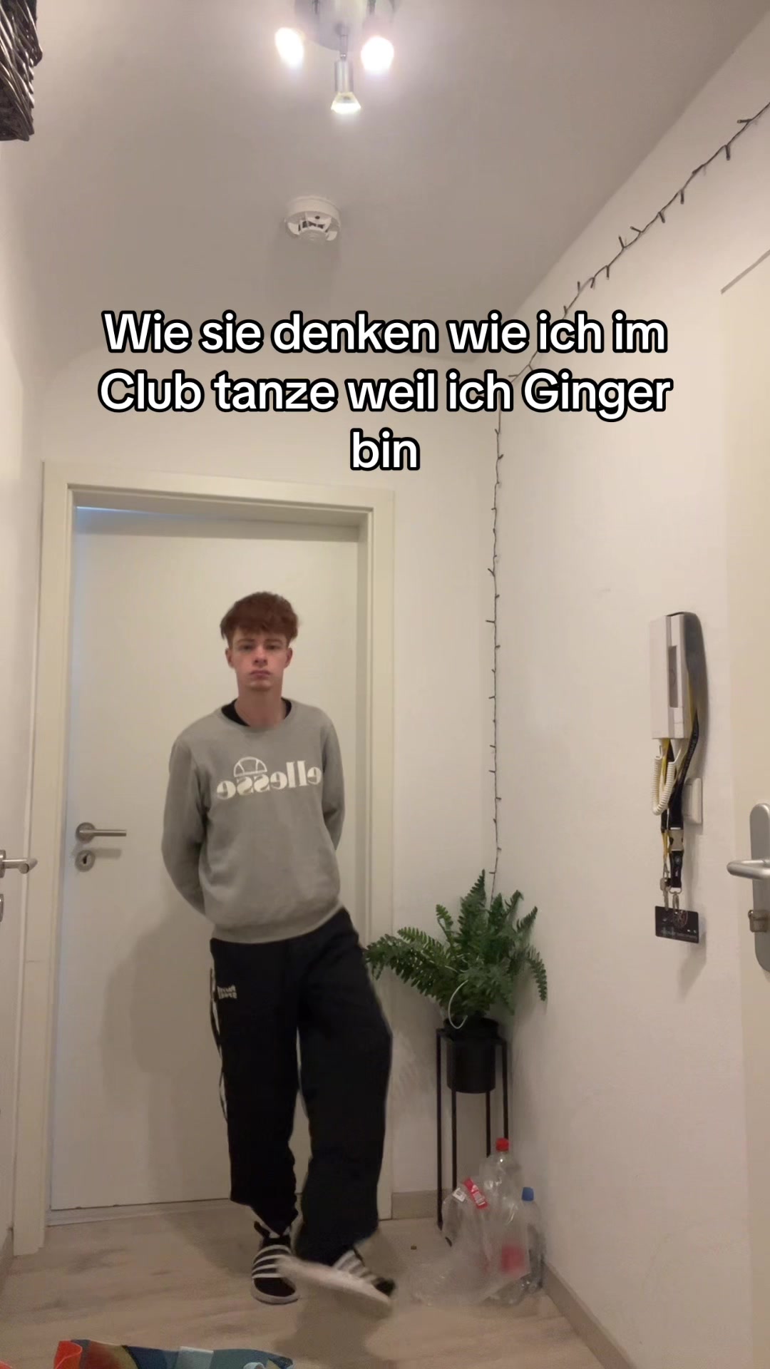 @dimi_Ginger