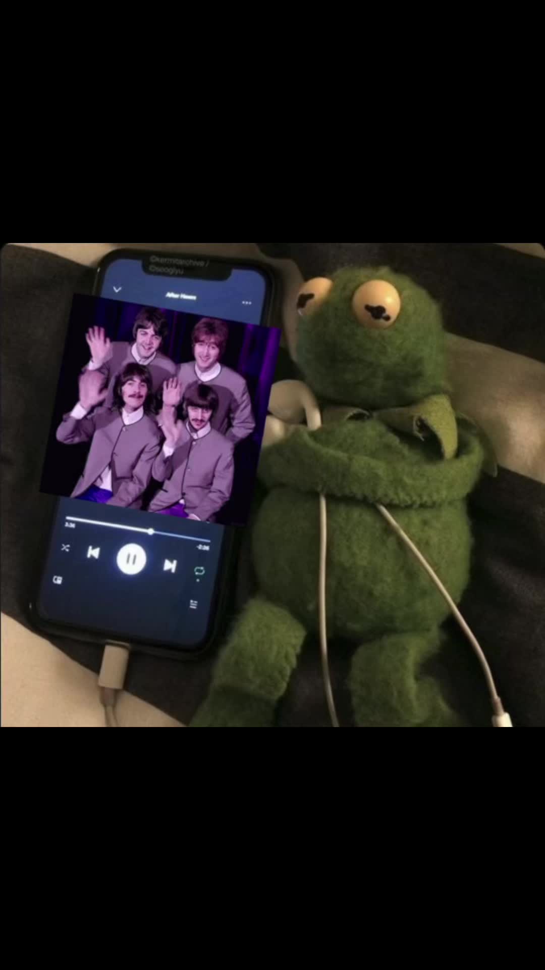 @bandxo