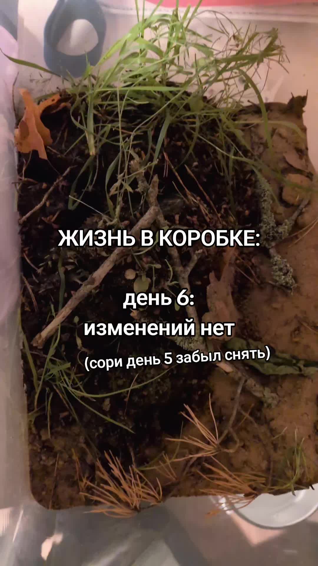 @ЖИЗНЬ В КОРОБКЕ