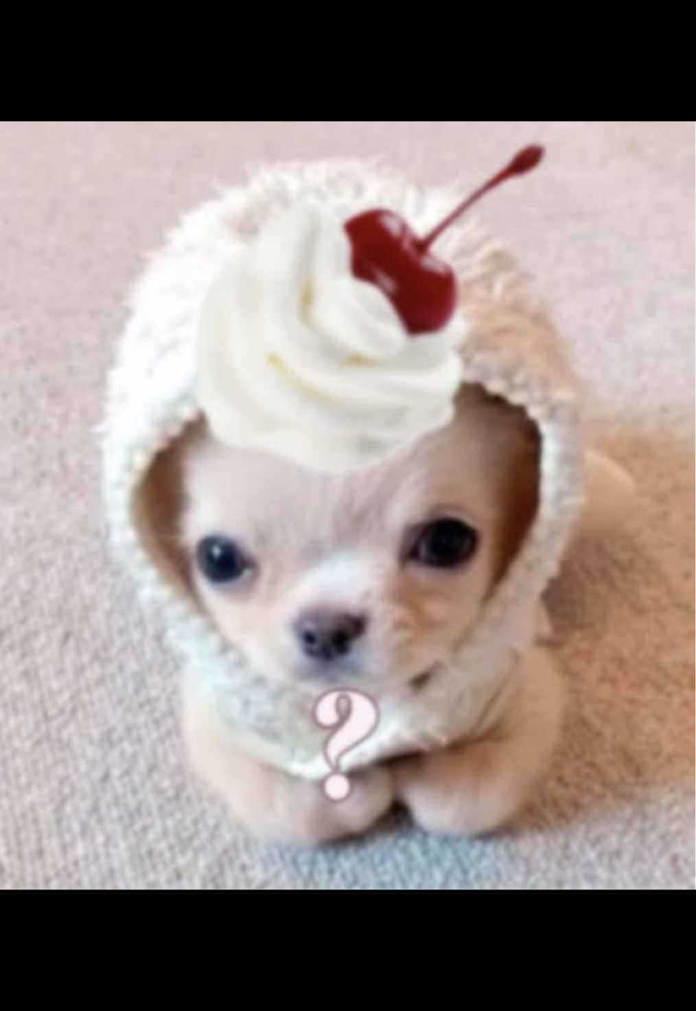 @.・🧁︴Tomla ✰