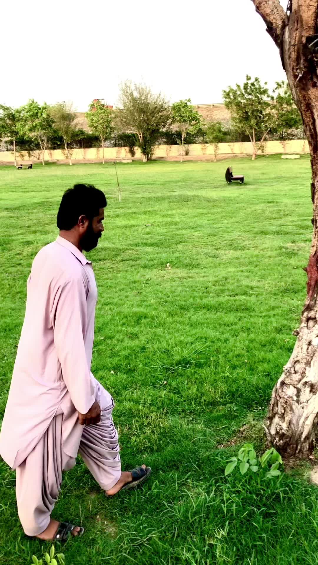 @Majeed King Of Taunsa❣️