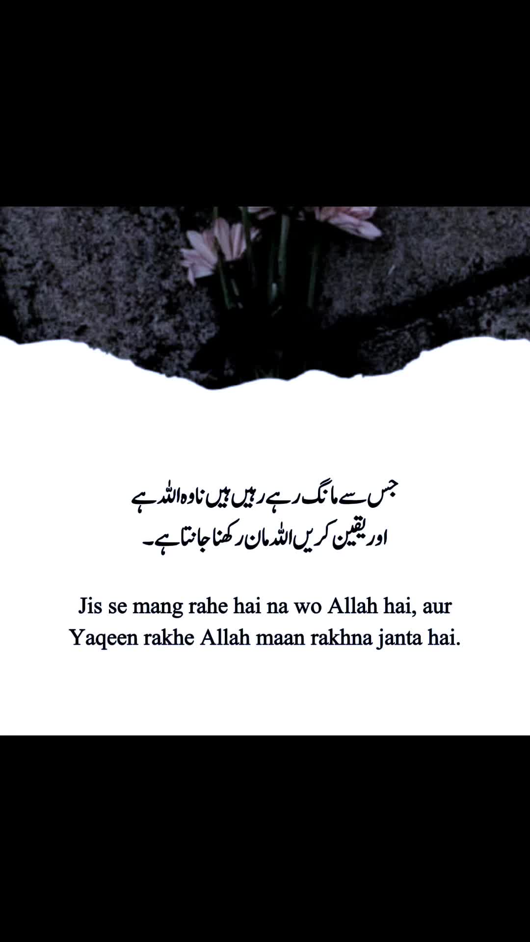@🔝➕💫 گہرے الفاظ ✨🕸️🪡