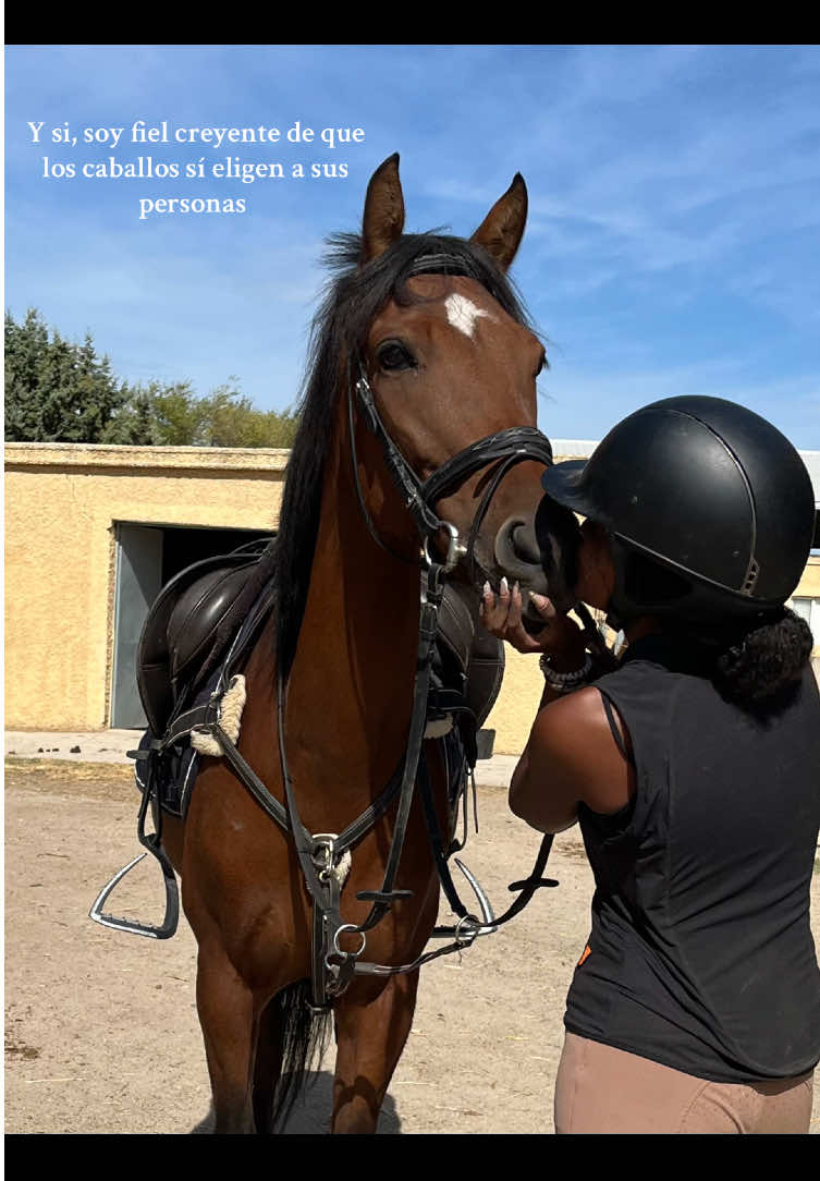@lilaa 🏇🫀
