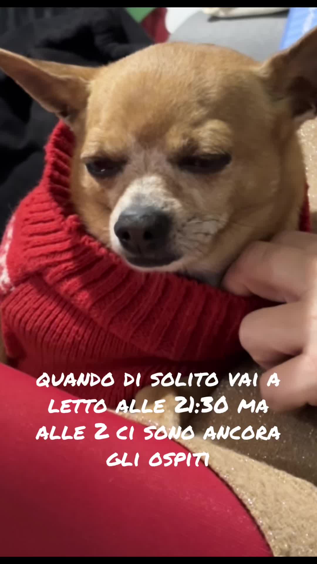 @Giorgia Tuzzi