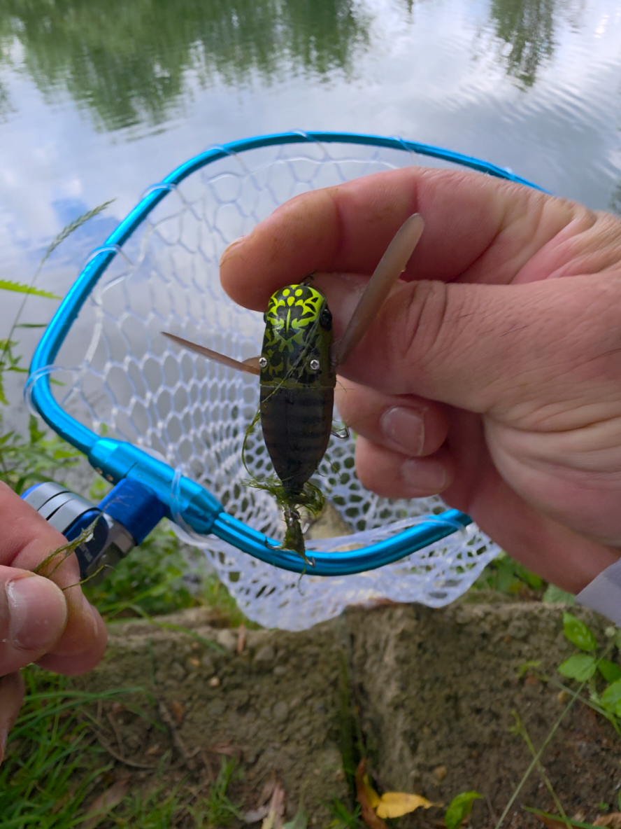 @BF Angler