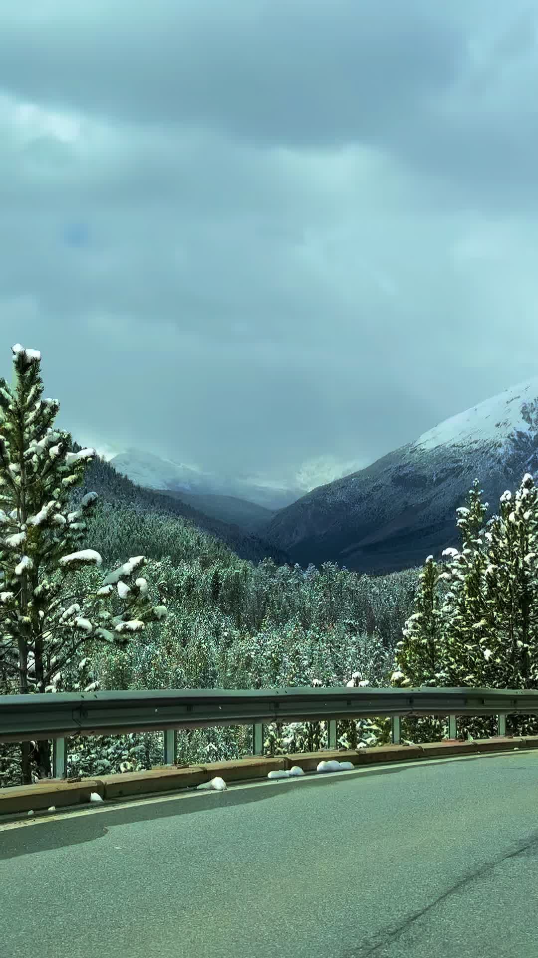 @swiss_alps