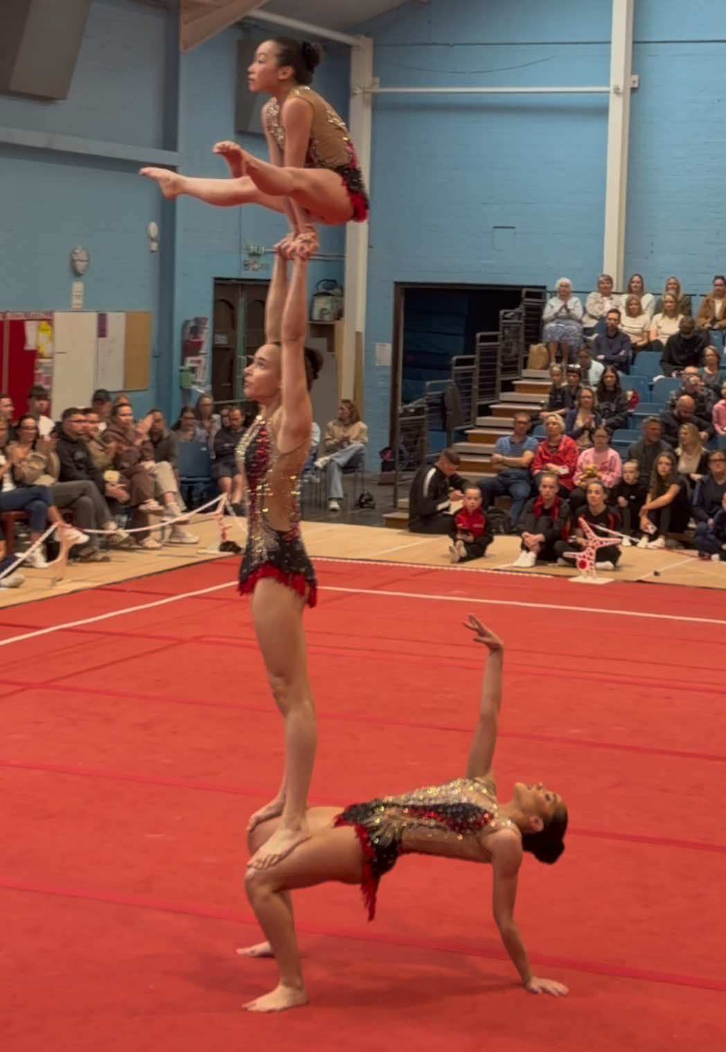 @acrogym.tv