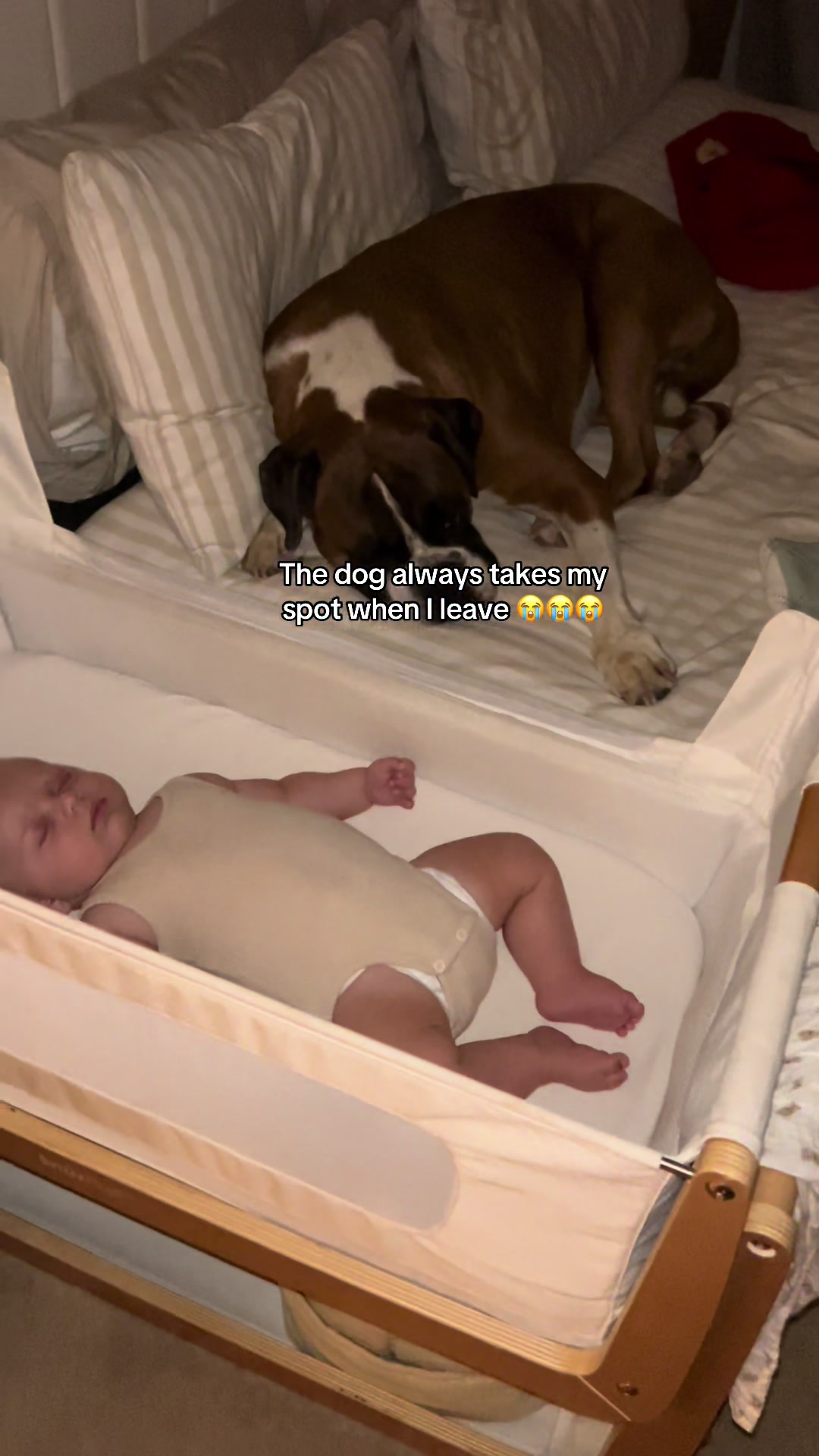@Arthur, Reggie & Bruno