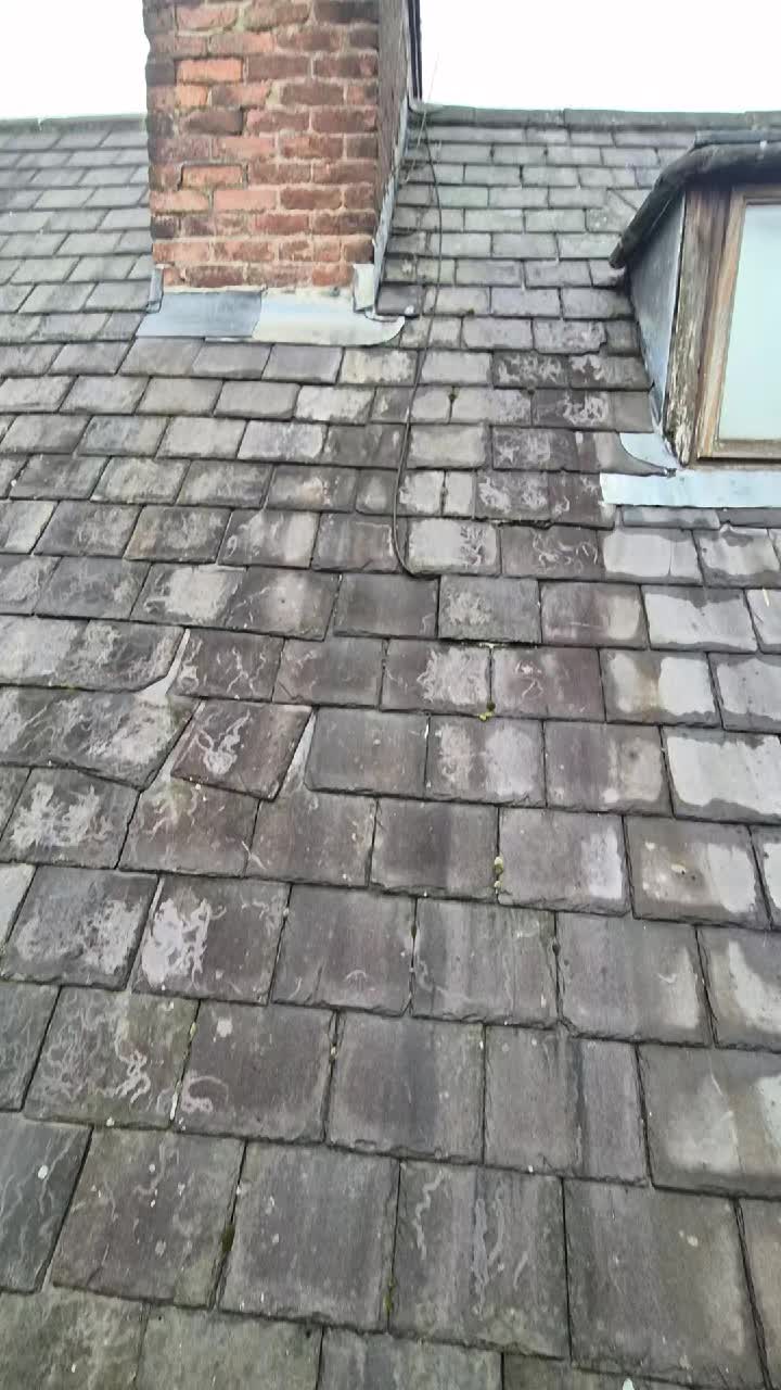 @dwebsterroofing