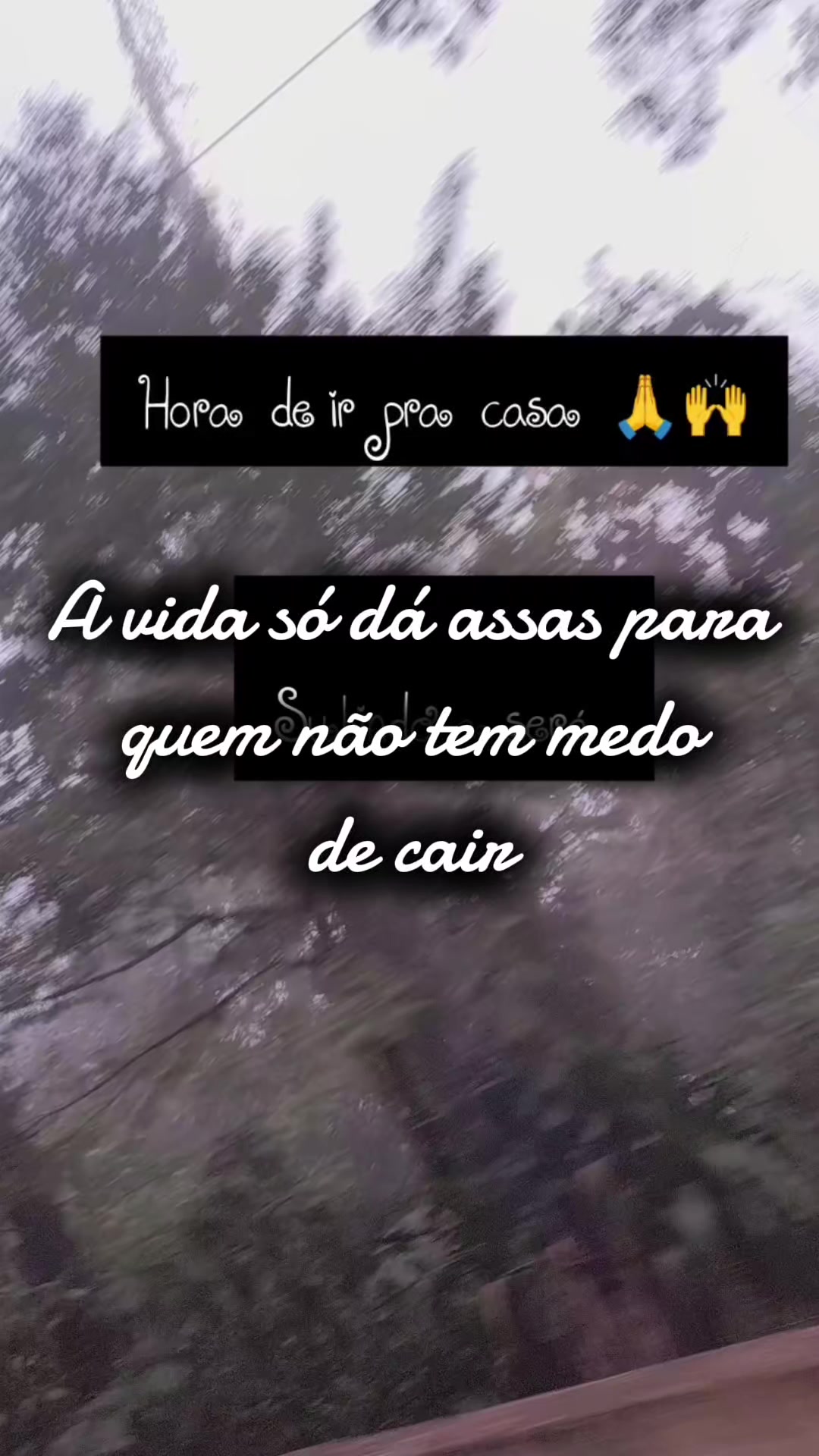 @luh queiroz