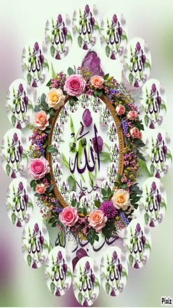 @amaan1949