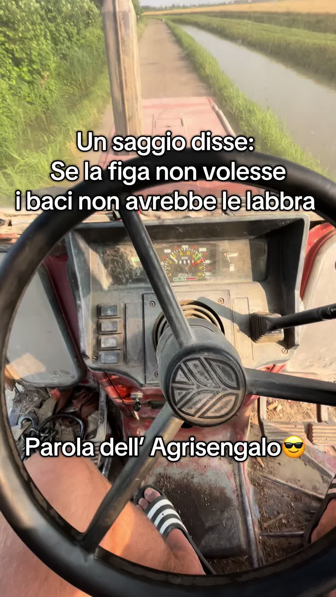 @Agrisengalo😎